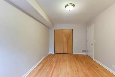 1026 E 46th St #1E, Chicago, IL 60653 photo 28