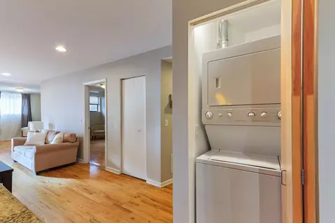 1026 E 46th St #1E, Chicago, IL 60653 photo 29