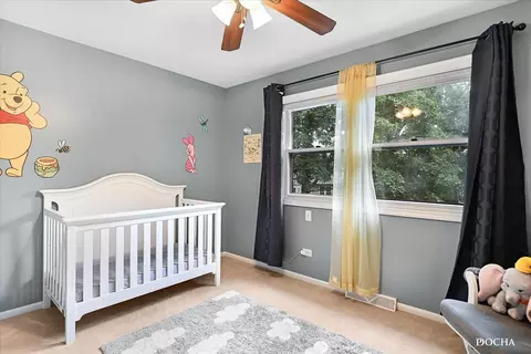 1704 Prince Ct, Naperville, IL 60563 photo 32