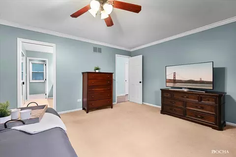 1704 Prince Ct, Naperville, IL 60563 photo 29