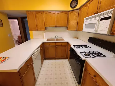 1685 Mill St #208, Des Plaines, IL 60016 photo 9