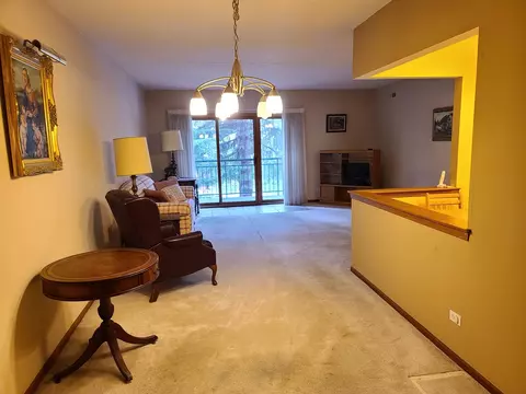 1685 Mill St #208, Des Plaines, IL 60016 photo 2