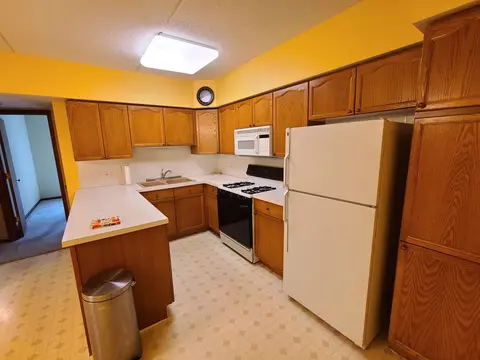 1685 Mill St #208, Des Plaines, IL 60016 photo 8