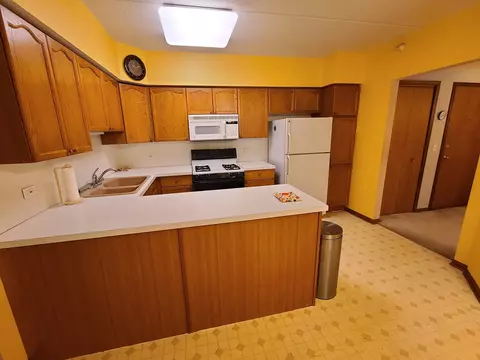 1685 Mill St #208, Des Plaines, IL 60016 photo 10