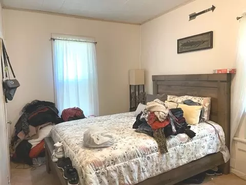 228 E 1st St, Oglesby, IL 61348 photo 5