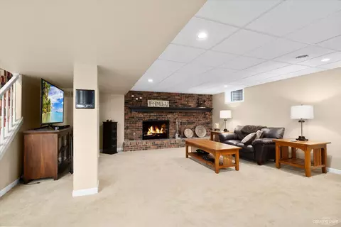 6 S441 Shagbark Ln, Aurora, IL 60506 photo 40