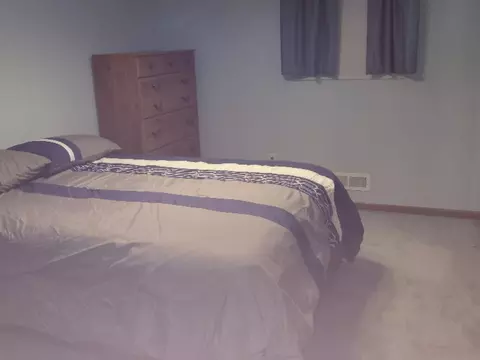 23620 W Devon Dr, Channahon, IL 60410 photo 9