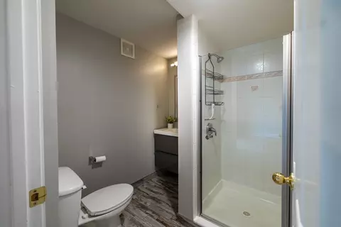 131 S Berteau Ave, Bartlett, IL 60103 photo 23