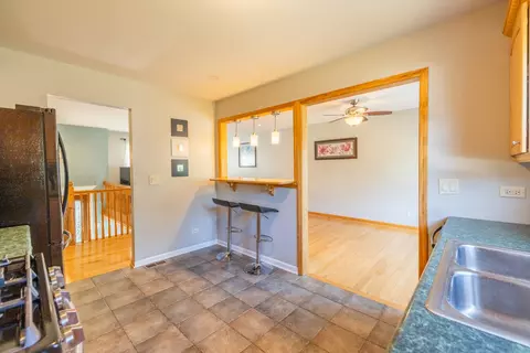 131 S Berteau Ave, Bartlett, IL 60103 photo 19