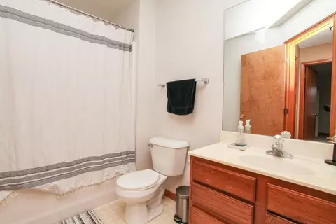 302 Plumage Ct, Normal, IL 61761 photo 23