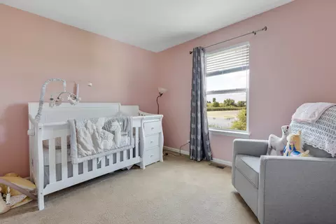 Undisclosed, Pingree Grove, IL 60140 photo 21