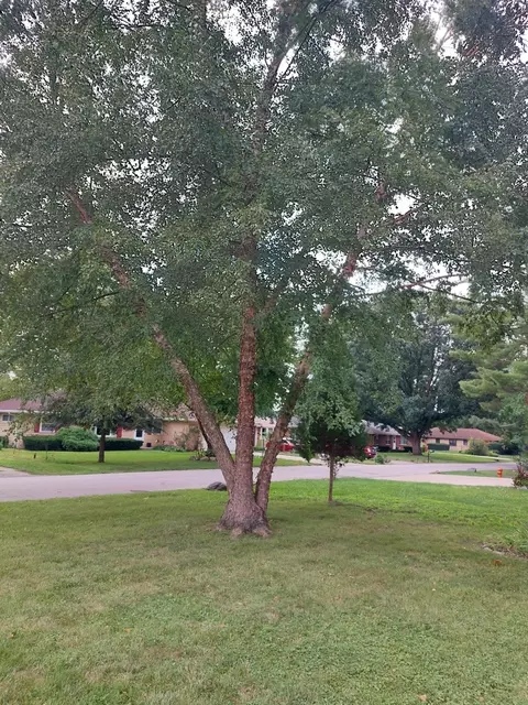 1803 Mcdonald Dr, Champaign, IL 61821 photo 31