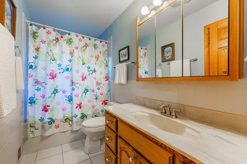 932 Willow Ln, Sleepy Hollow, IL 60118 photo 16