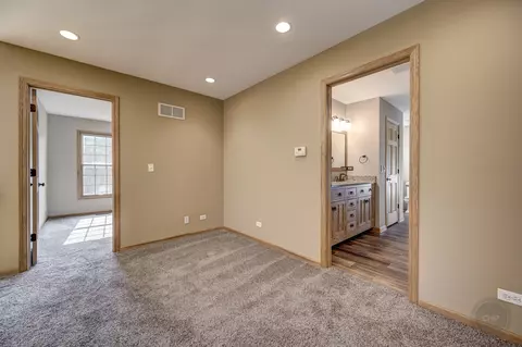 12212 Mitchell Dr, Plano, IL 60545 photo 38