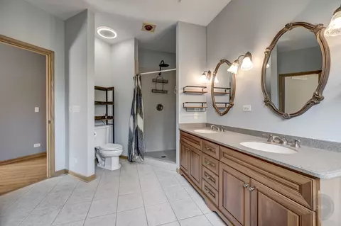 12212 Mitchell Dr, Plano, IL 60545 photo 30