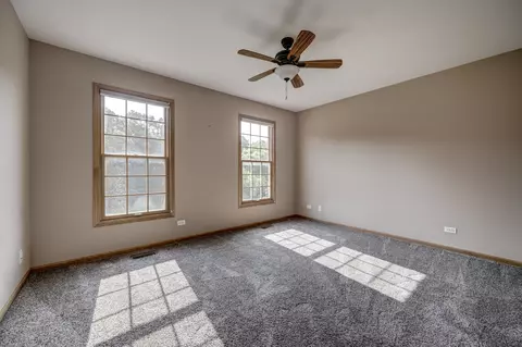 12212 Mitchell Dr, Plano, IL 60545 photo 41