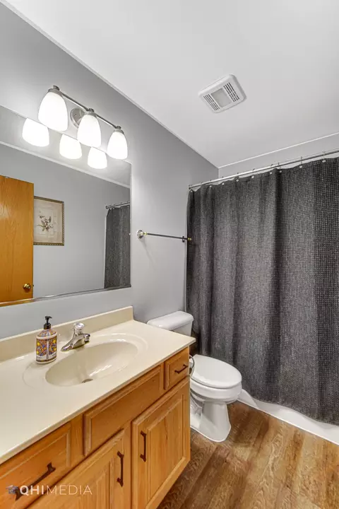 24219 Apple Tree Ln, Plainfield, IL 60585 photo 22