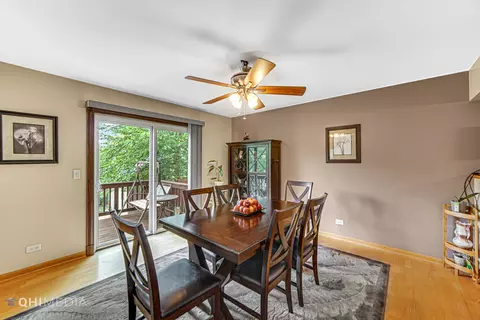 24219 Apple Tree Ln, Plainfield, IL 60585 photo 7