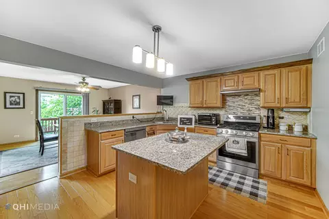24219 Apple Tree Ln, Plainfield, IL 60585 photo 11