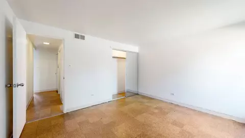1301 E 55th St, Chicago, IL 60615 photo 28