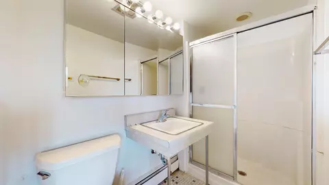 1301 E 55th St, Chicago, IL 60615 photo 31