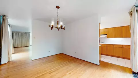 1301 E 55th St, Chicago, IL 60615 photo 14