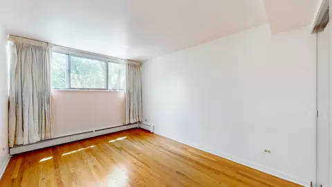 1301 E 55th St, Chicago, IL 60615 photo 23
