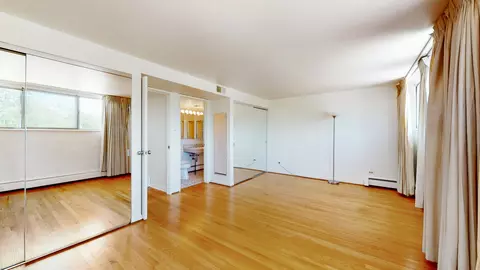 1301 E 55th St, Chicago, IL 60615 photo 19