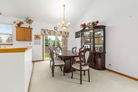 24010 W Marathon Ln, Plainfield, IL 60585 photo 8