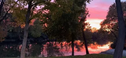 17152 S Lily Cache Rd, Plainfield, IL 60586 photo 7