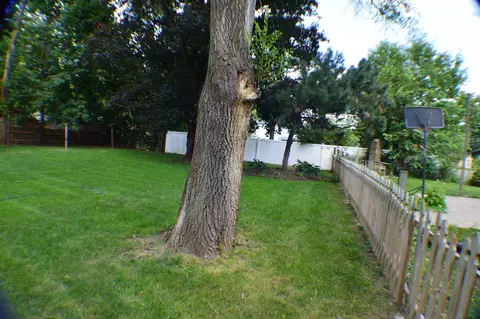 341 Wilcox Ave, Elgin, IL 60123 photo 11
