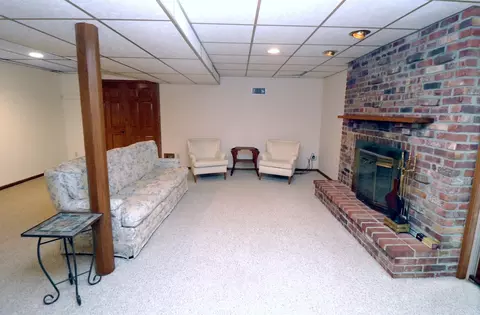 12 N290 Jackson Dr, Elgin, IL 60124 photo 24