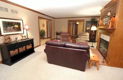 12 N290 Jackson Dr, Elgin, IL 60124 photo 11