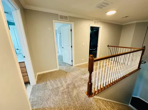 12915 White Pine Way, Plainfield, IL 60585 photo 36