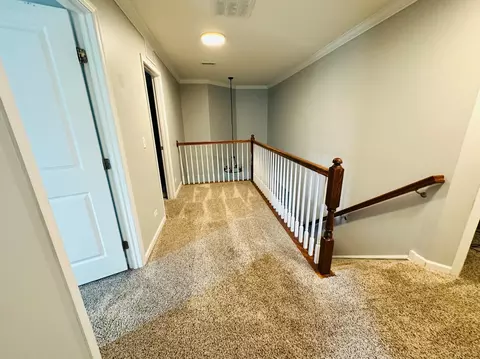 12915 White Pine Way, Plainfield, IL 60585 photo 37