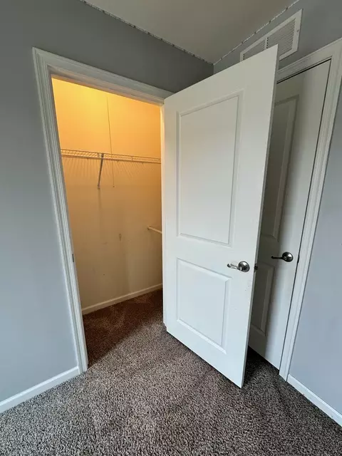12915 White Pine Way, Plainfield, IL 60585 photo 33