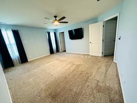 12915 White Pine Way, Plainfield, IL 60585 photo 19