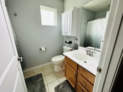 12915 White Pine Way, Plainfield, IL 60585 photo 34