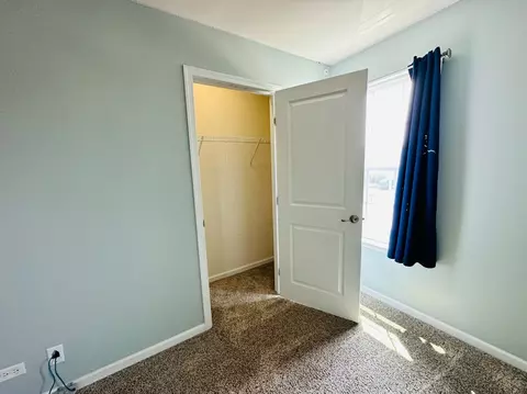 12915 White Pine Way, Plainfield, IL 60585 photo 30