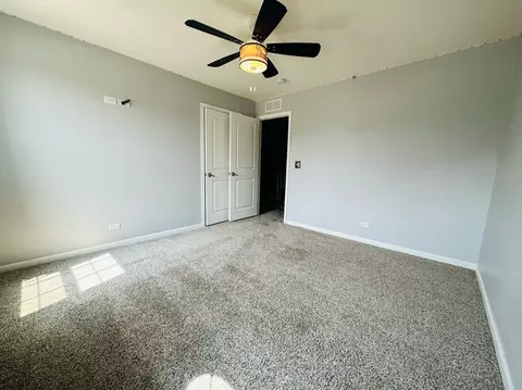 12915 White Pine Way, Plainfield, IL 60585 photo 32