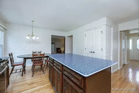 1107 Sara Ln, Naperville, IL 60565 photo 10