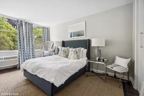 30 Elm St #5C, Chicago, IL 60611 photo 8