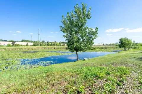 2552 Oak Tree Ln, Plainfield, IL 60586 photo 3