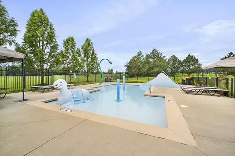 12923 White Pine Way, Plainfield, IL 60585 photo 37