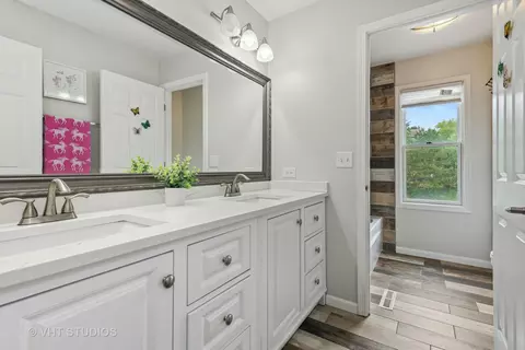 1184 Hunters Rdg E, Hoffman Estates, IL 60192 photo 17