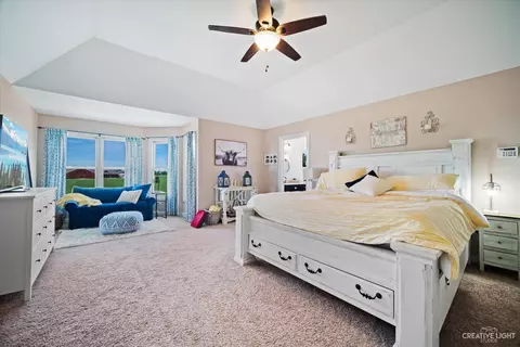 13138 Brooklands Ln, Plainfield, IL 60585 photo 18