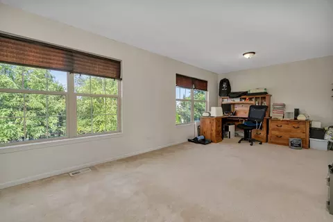 13539 Rockefeller Cir, Plainfield, IL 60544 photo 17