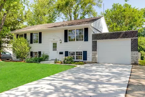 738 Surrey Dr, Streamwood, IL 60107