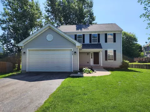 313 S Shagbark Ct, Round Lake, IL 60073