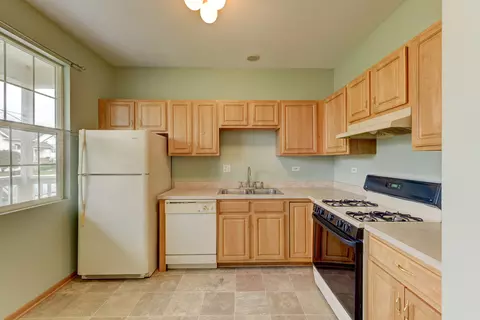 1378 Fox Hound Trl, Beecher, IL 60401 photo 3